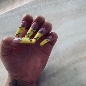 Meet your Posher, Lee